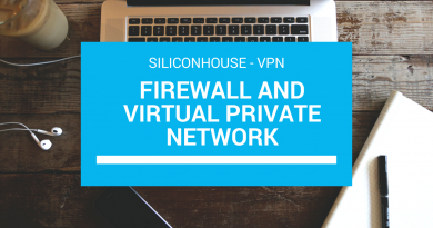 Firewall and Virtual Private Network