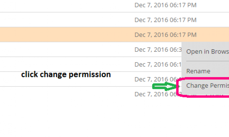 click-change-permission-5