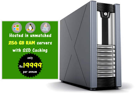 Linux Windows Java Reseller Web Hosting India