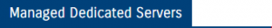 Fully Managed Dedicated Server Hosting India