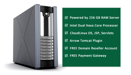 Reseller Web Hosting Java Features