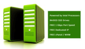 VPS Hosting India with SSD Drives